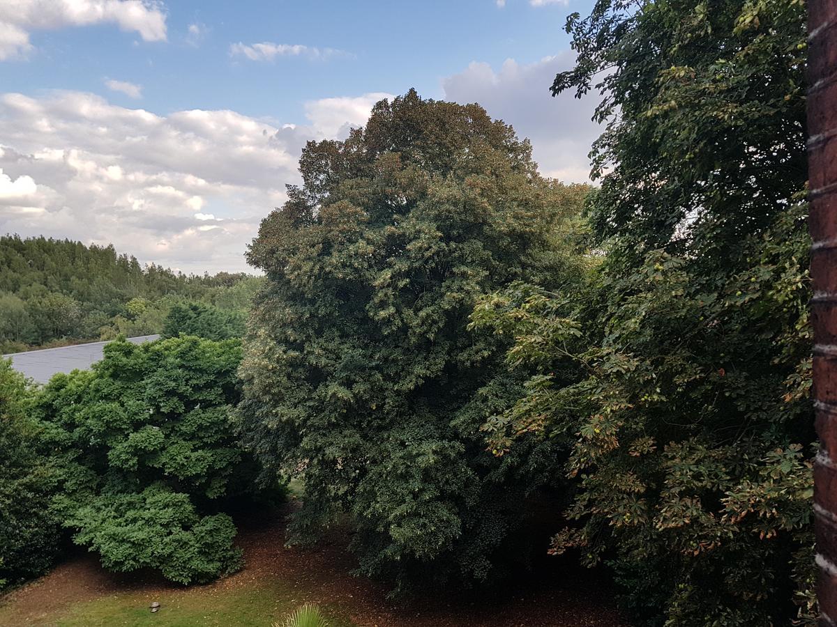 Chateau Lambert Moulinsart Hotel, Shuttle Airport, Long Term Parking, Snooker, Large Terrasse, Dinner, Breakfast Шарлеруа Екстер'єр фото